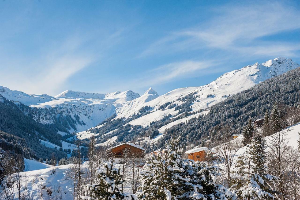 Appartement Berghof Saalbach-Hinterglemm Ngoại thất bức ảnh